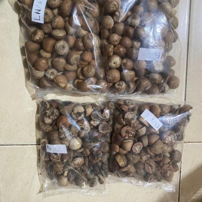 Areca Nut Premium