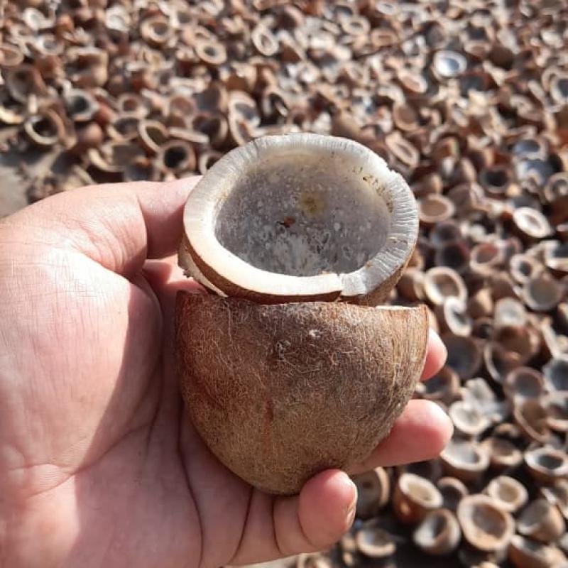 Copra Coconut Premium