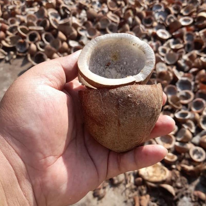 Copra Coconut Premium