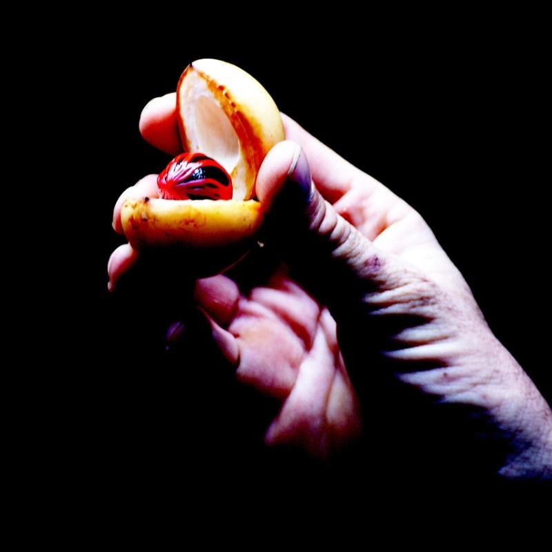 Nutmeg & Mace Premium