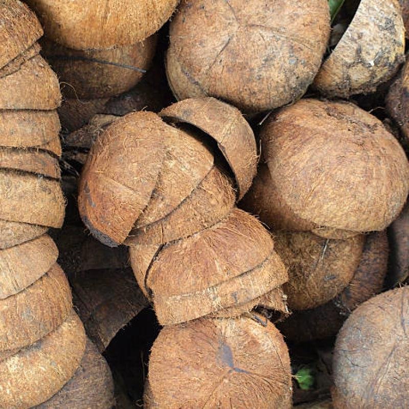 Coconut Shell Charcoal