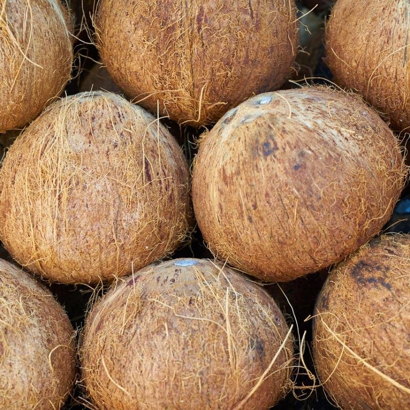 Coconut Shell Charcoal