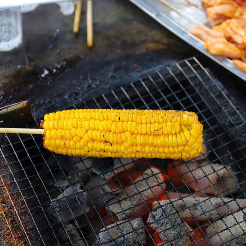 Coconut Shell Charcoal